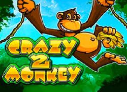 Crazy Monkey 2